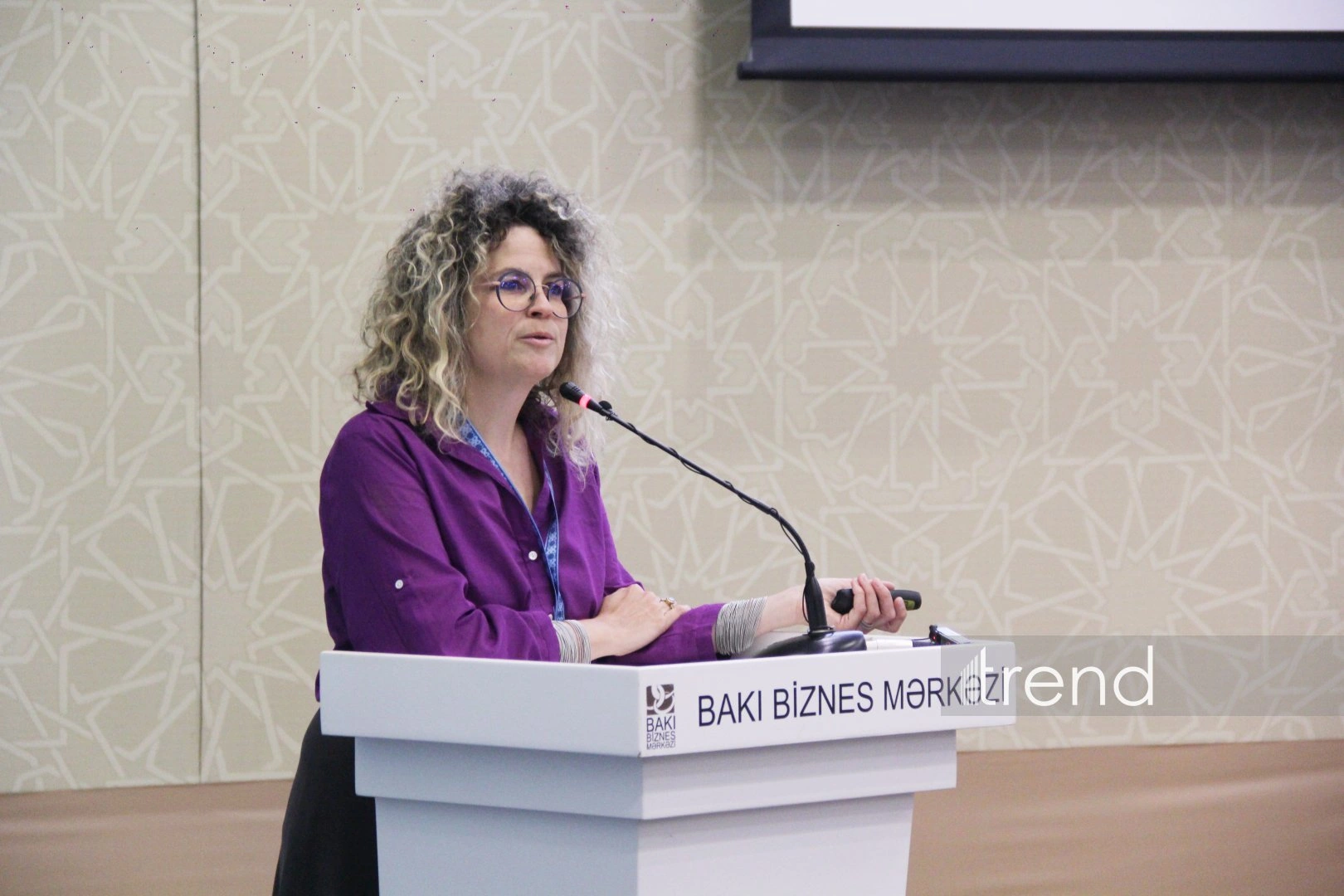 International Carpet Forum in Baku – 1st Session: “Design, Collections, and Product Development” (PHOTO)