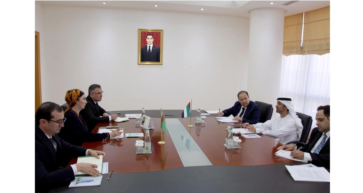 Turkmenistan, UAE discuss cooperation within international organizations