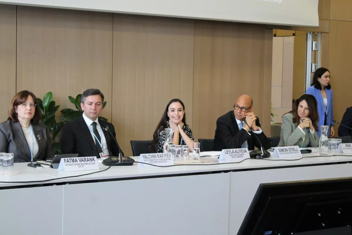 High-level climate panel in Bonn highlights growing threats to Caspian Sea PHOTO