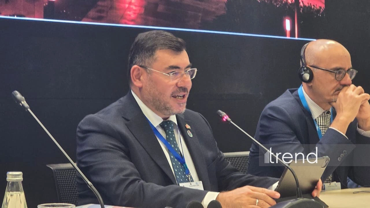 Türkiye announces new features for COP31 Blue and Green zones