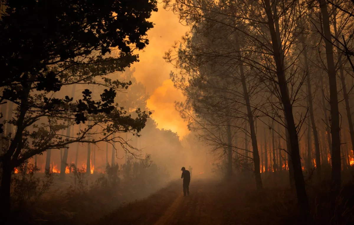 Wildfire risk set to surge across Europe, study warns