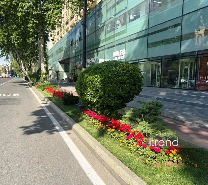 Azerbaijan's Baku blossoms with flowers ahead of WUF13 conference (PHOTO)