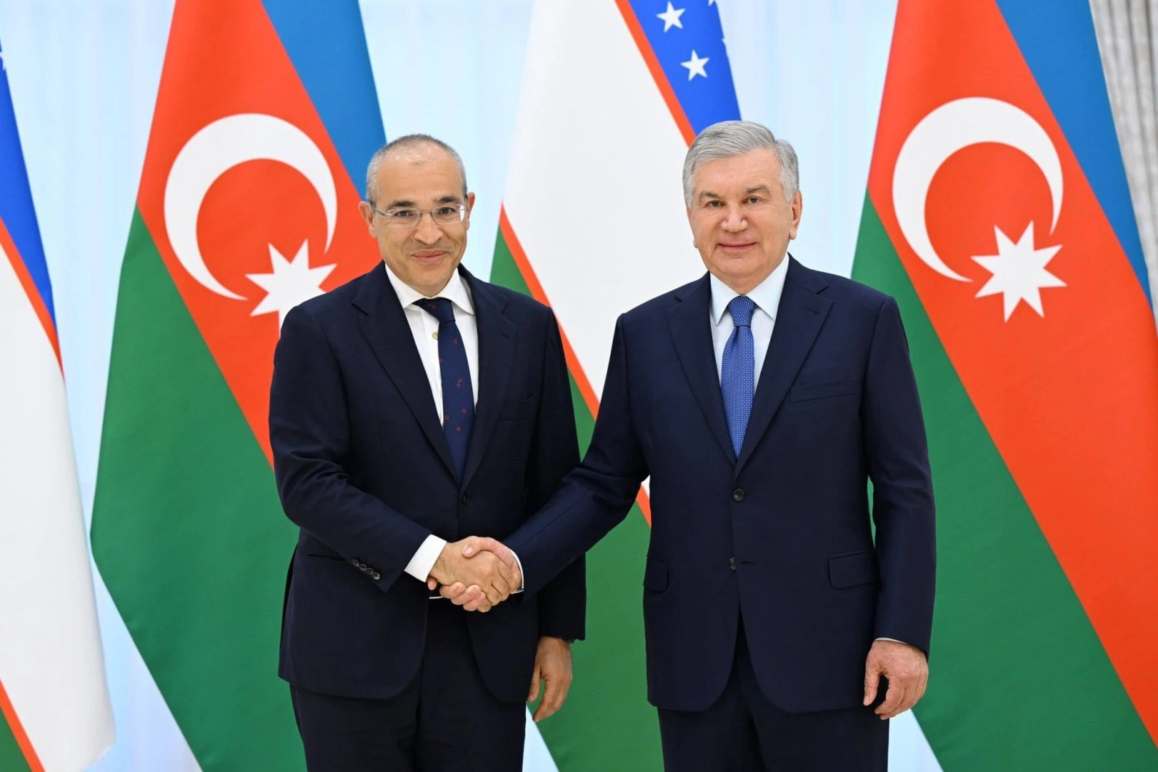 Uzbek president, Azerbaijani economy minister discuss expanding economic ties (PHOTO)