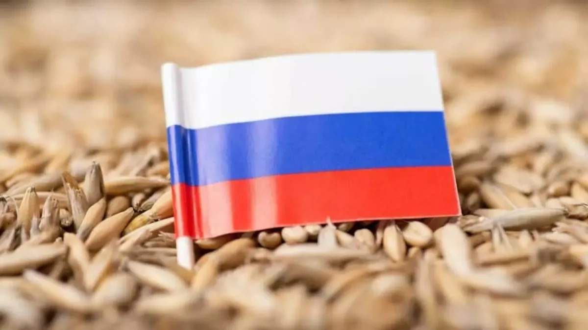 Cheap Russian wheat and Georgia’s food security challenge Article by Vladimir Tskhvediani