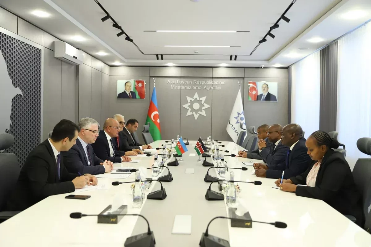 Azerbaijan, Kenya discuss cooperation in humanitarian demining