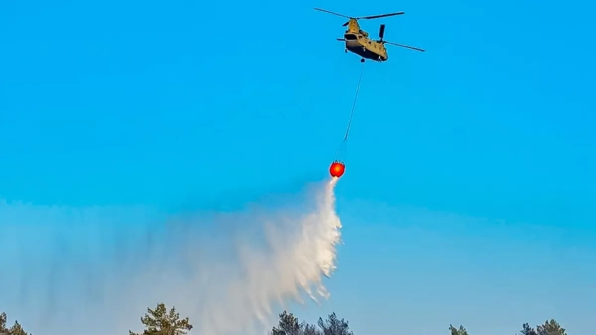 Major forest fire at Dutch military range brought under control