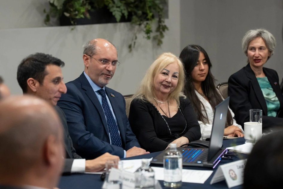 Azerbaijani expats uphold national pride on global platforms – committee chair says (PHOTO)