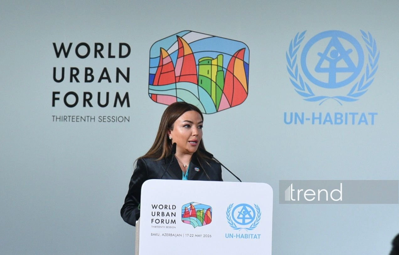 Urban development impossible without civil society participation - Aygun Aliyeva