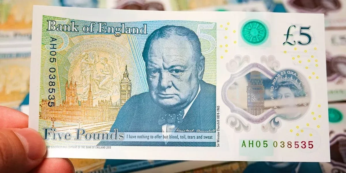 UK public invited to choose wildlife for future banknotes as Churchill era nears end
