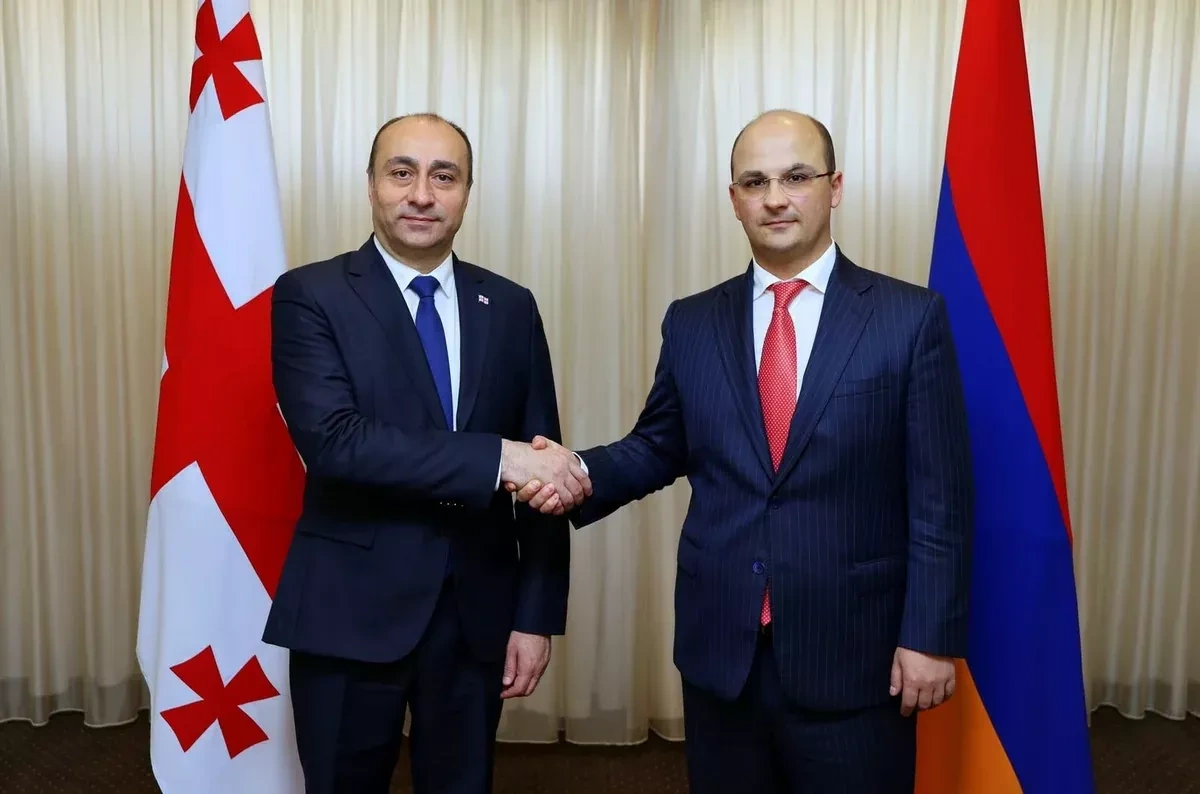 Georgia, Armenia security chiefs discuss regional stability PHOTO