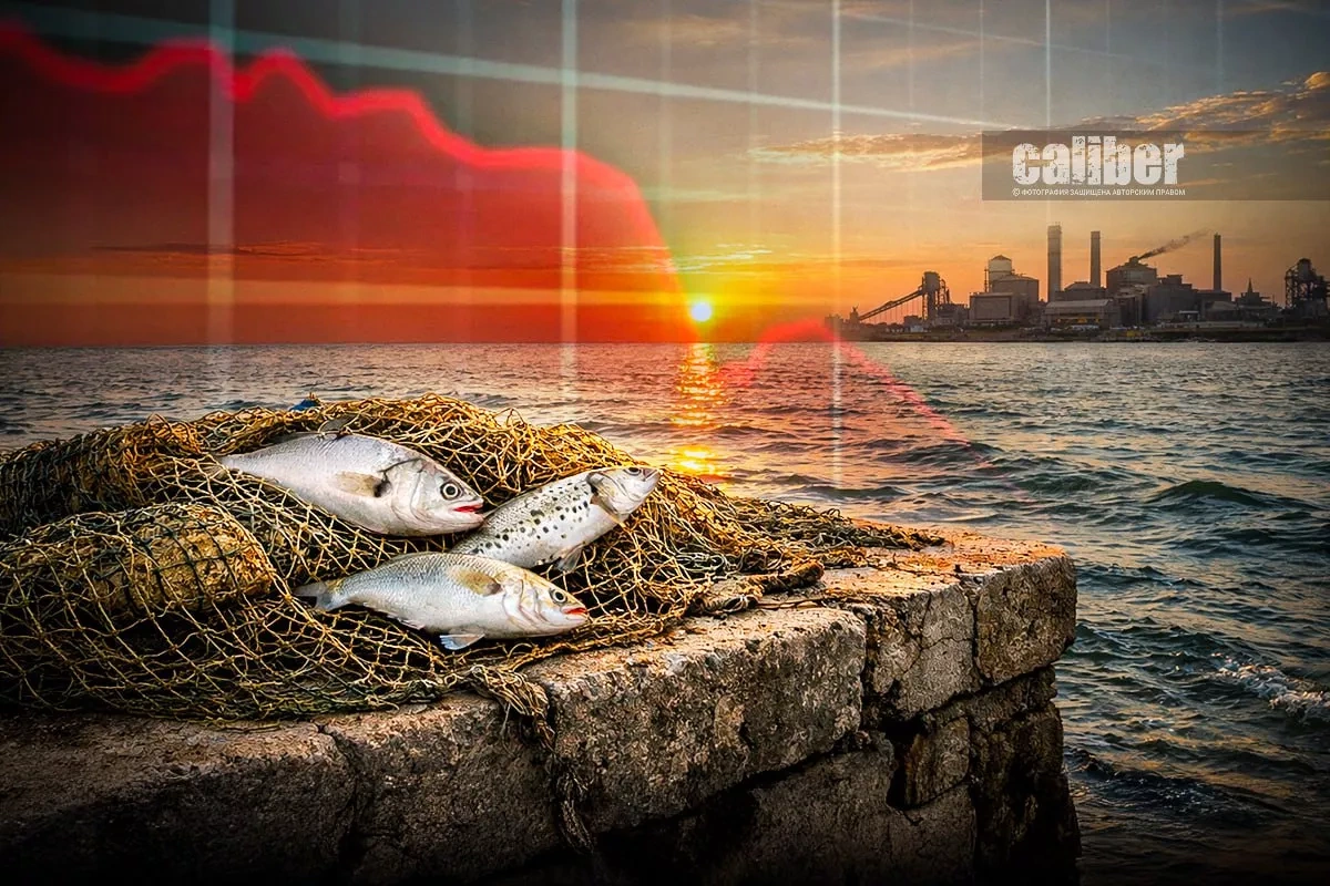 Aquaculture set to replace declining fisheries in the Caspian From wild catch to fish farming