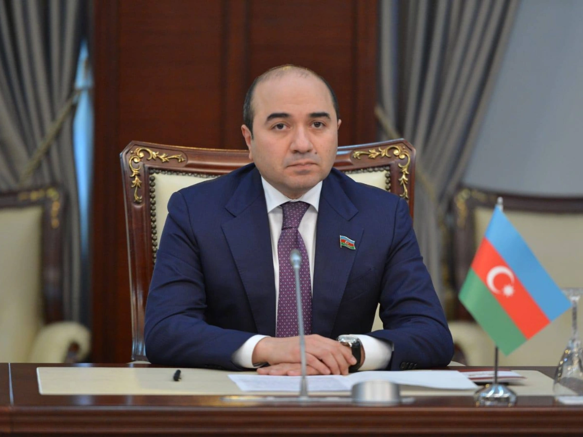 MP сalls EU Parliament's resolution smear campaign against Azerbaijan’s independent policy