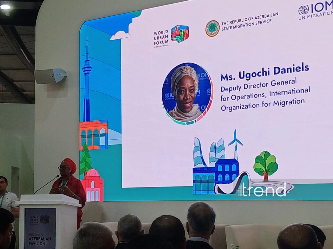 IOM rep stresses safe housing as critical step toward sustainable cities