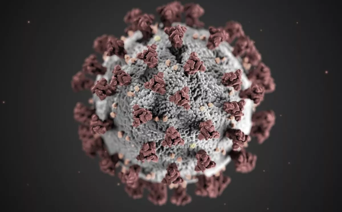 Nature: Study links severe COVID-19 to reactivation of dormant viruses