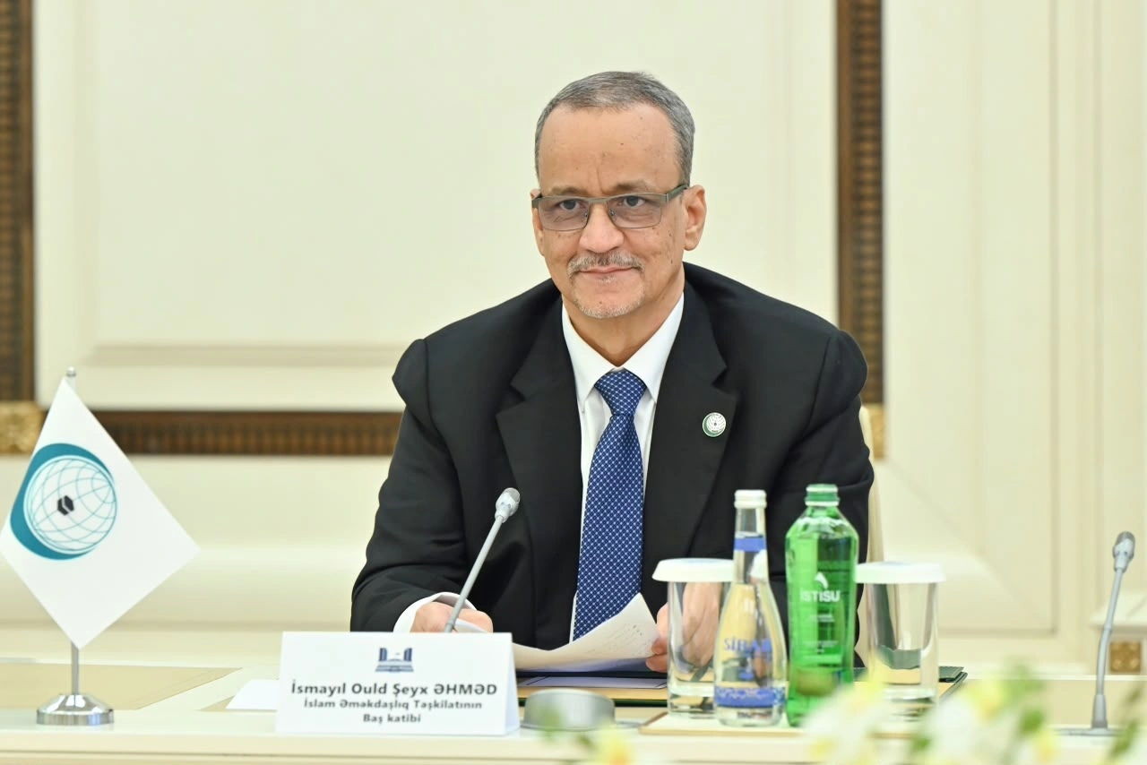Azerbaijan, OIC discuss ways to expand cooperation (PHOTO)