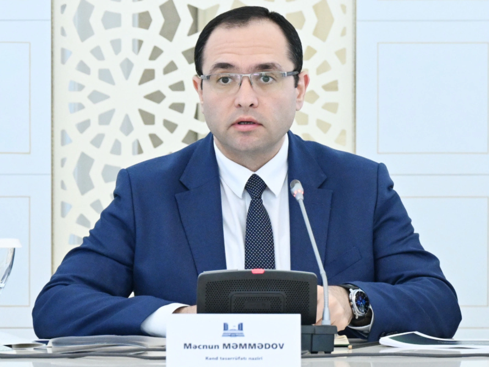 Azerbaijan's product subsidies target offsetting expenditures - minister