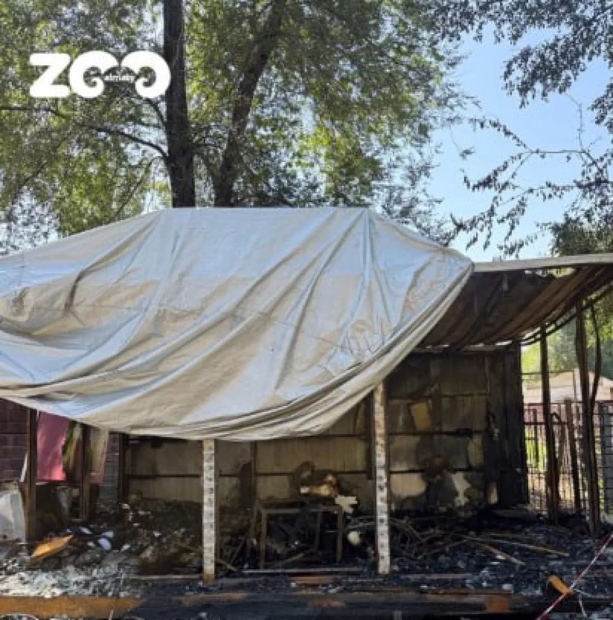 Fire breaks out in Kazakhstan's Almaty Zoo overnight PHOTO