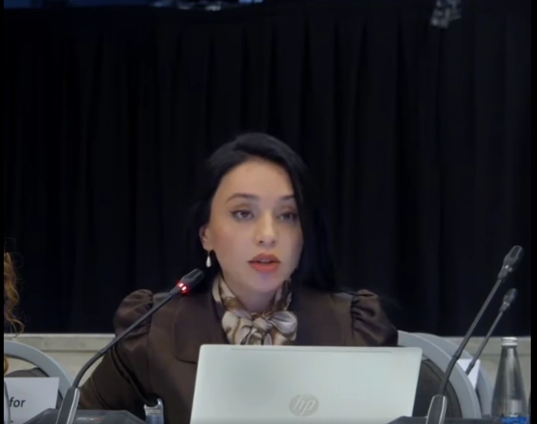 OSCE conference highlights Azerbaijan's missing citizens and landmine issue