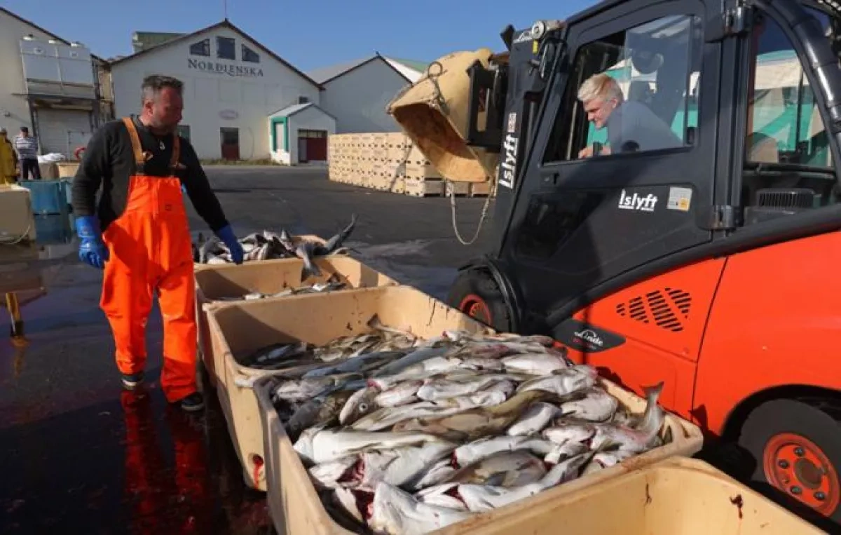 Iceland demands sovereign control of fisheries in any EU deal