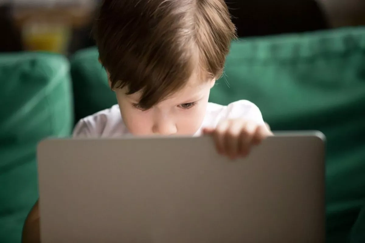 A digital shield for future generations Azerbaijan in the global fight for children’s online safety