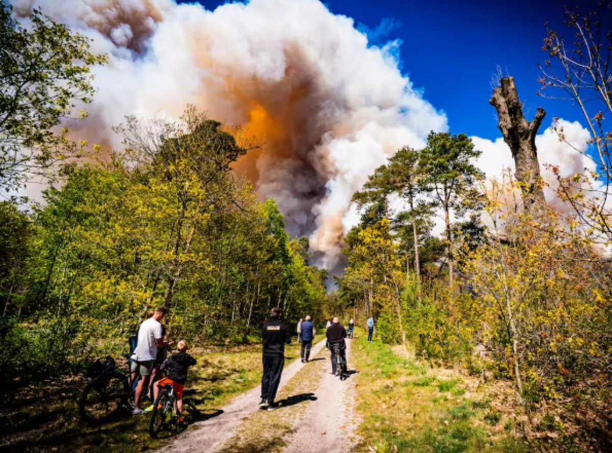 Wildfire breaks out at artillery training range in Netherlands