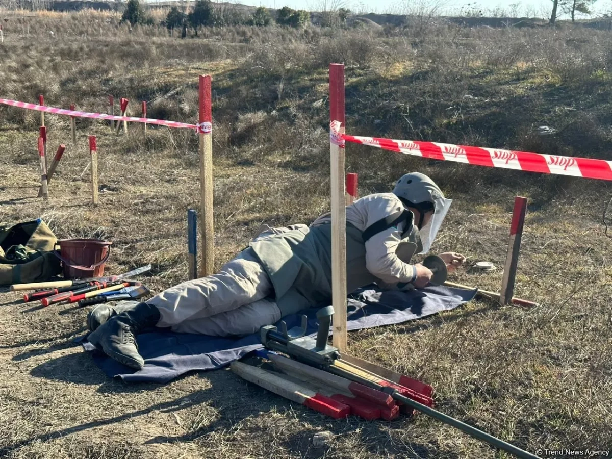 ANAMA: Azerbaijan clears over 800 hectares from mines, unexploded ordnance WEEKLY REPORT / PHOTO