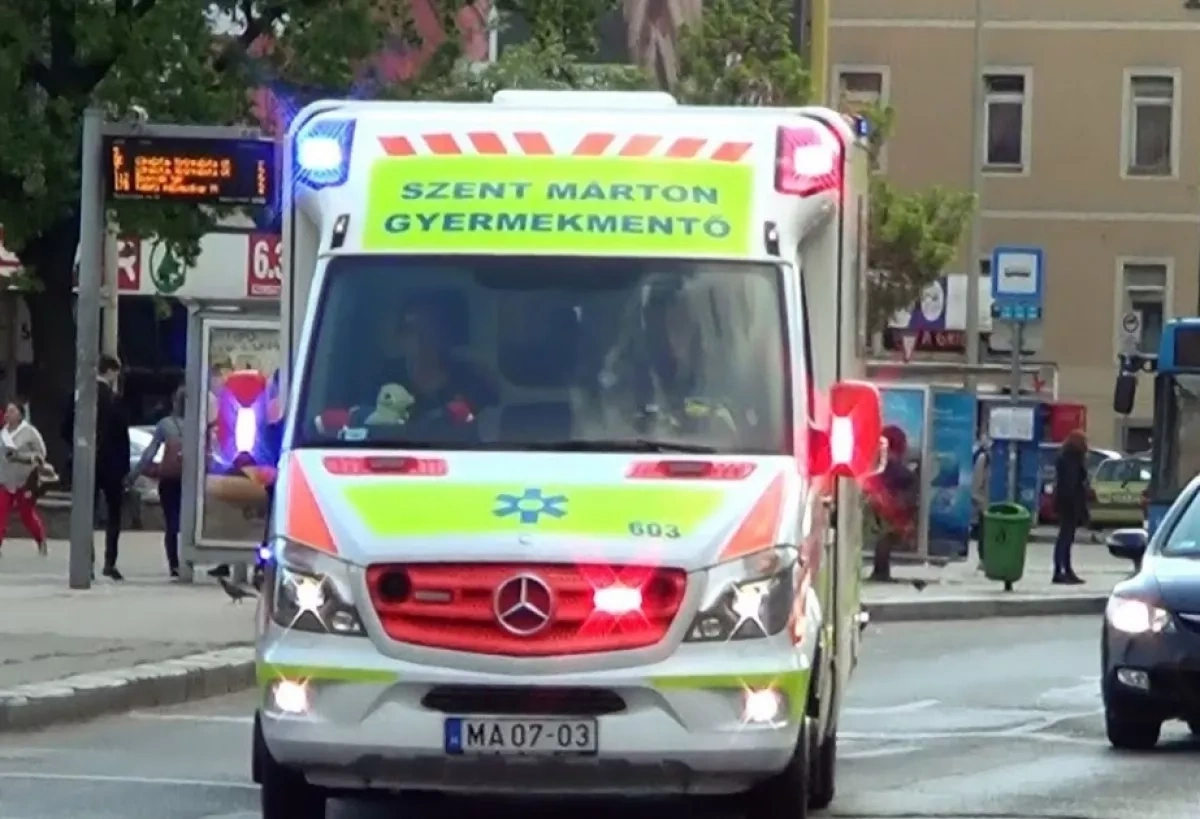 Three dead after tree falls on people in Germany