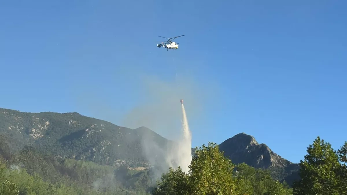 Türkiye fights two wildfires as strong winds fuel flames in Adana PHOTO