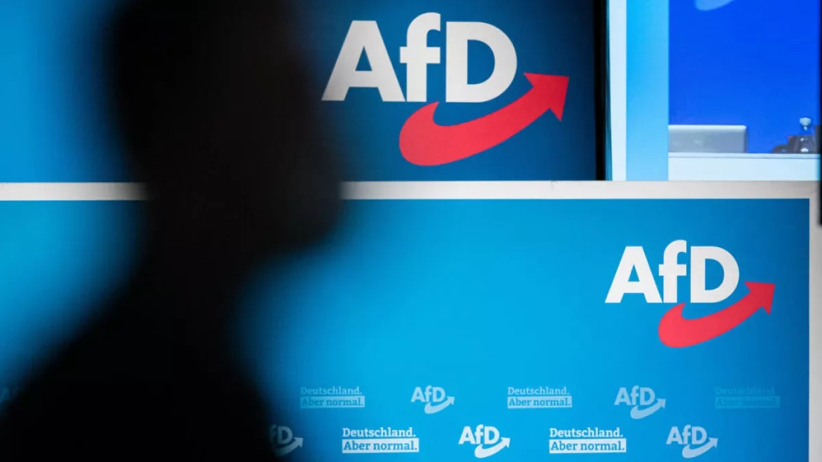 Why Germany’s far right is looking to ICE for inspiration