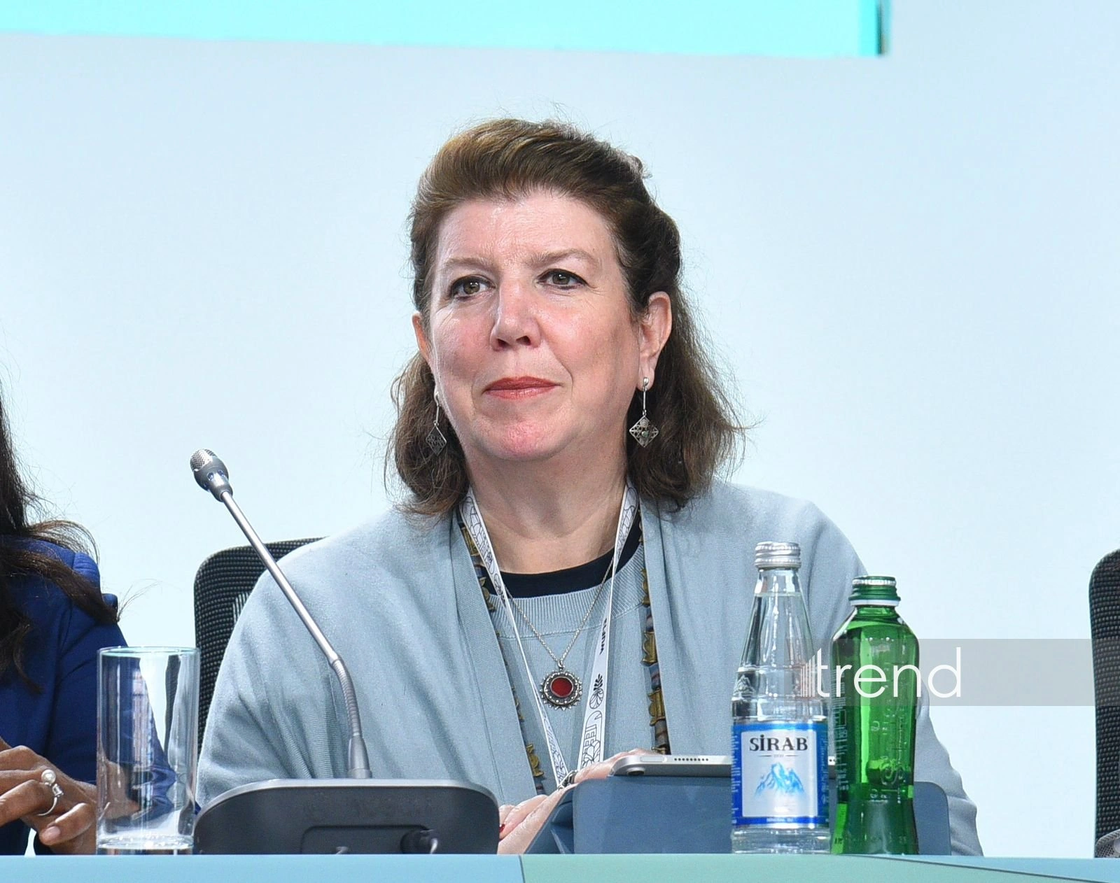 "Smart and Resilient Settlements" initiative shows need for unified approach - Anna Soave