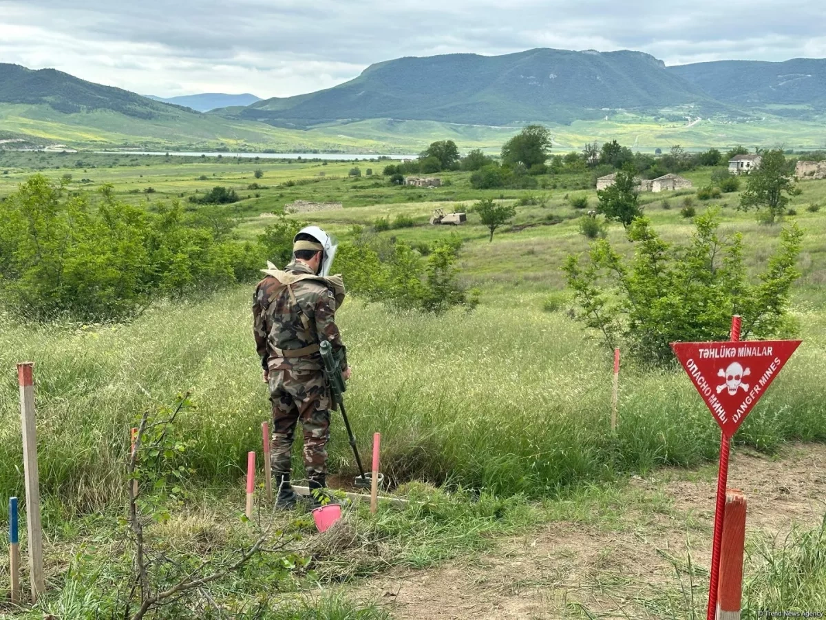 ANAMA: Azerbaijan clears over 900 hectares from mines, unexploded ordnance WEEKLY REPORT / PHOTO