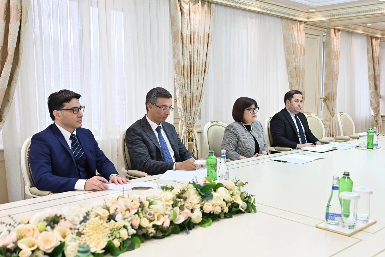Speaker of Azerbaijani Parliament meets Irish parliamentary delegation (PHOTO)