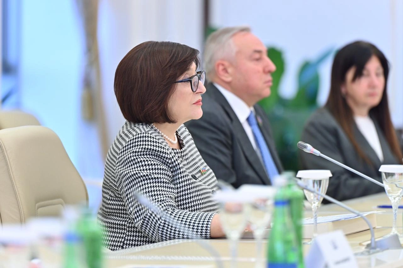 Azerbaijani and Lithuanian parliaments brainstorm enhancement of cooperation (PHOTO)