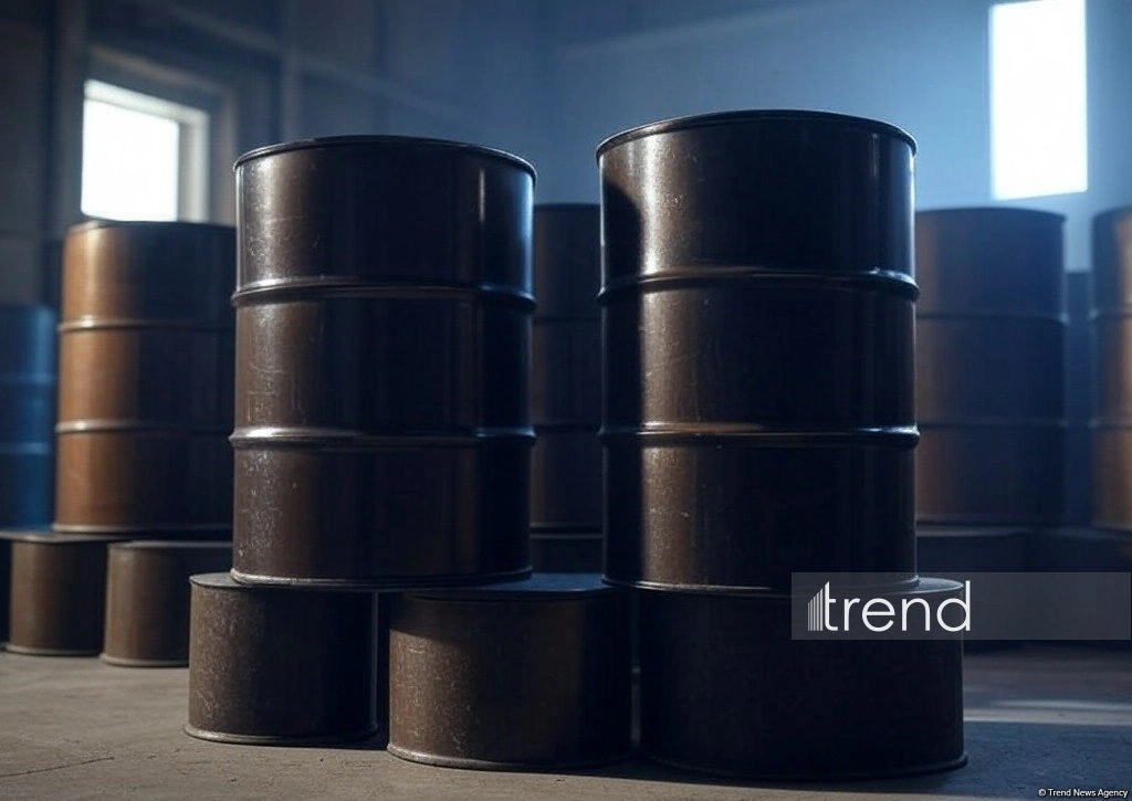 Kyrgyzstan increases gasoline imports from Belarus