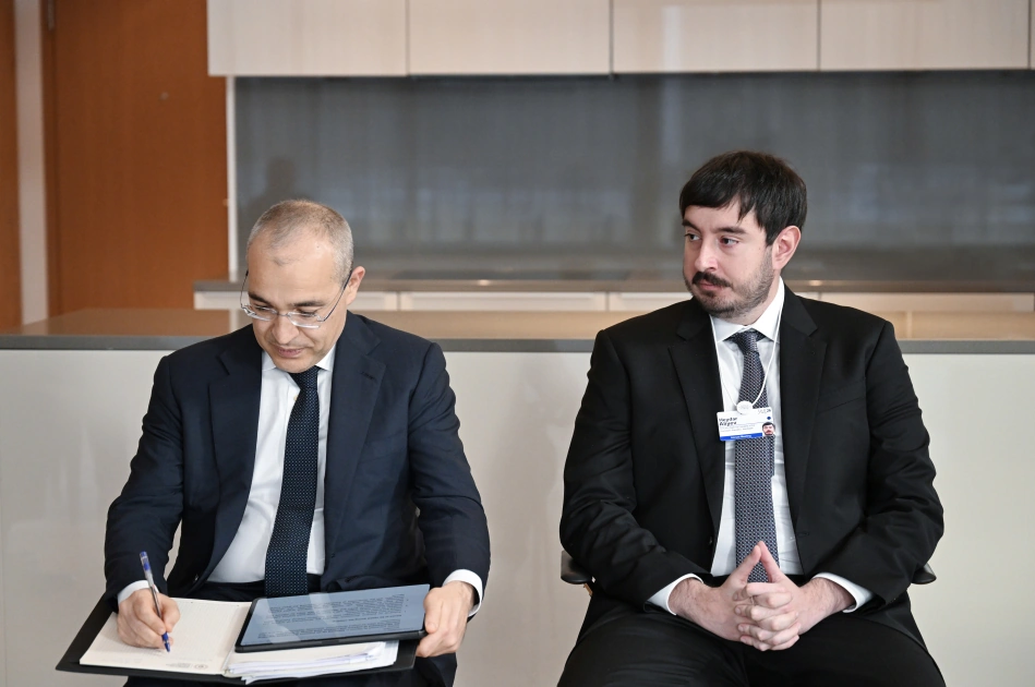 President Ilham Aliyev meets with Group Senior Vice President for Marketing, Communications, Sustainability, and Public Affairs at Vestas Wind Systems in Davos (PHOTO)