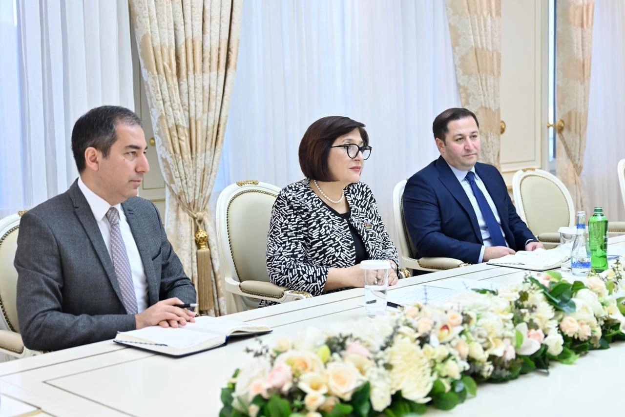 Azerbaijani parliament speaker meets with Egyptian ambassador (PHOTO)