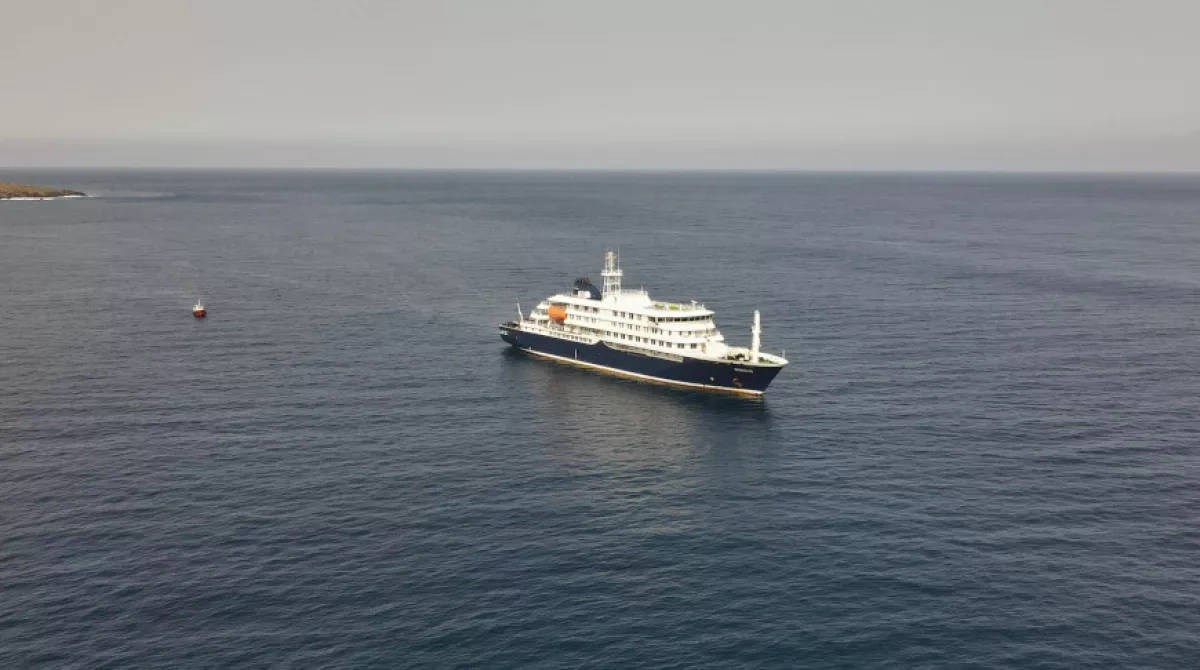 Nearly 100 passengers evacuated from Hantavirus-hit cruise ship in Tenerife