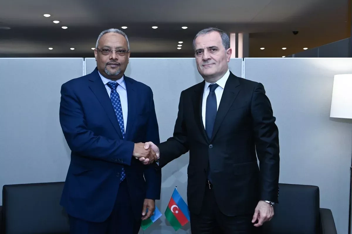 Azerbaijani FM discusses bilateral relations with Djiboutian counterpart