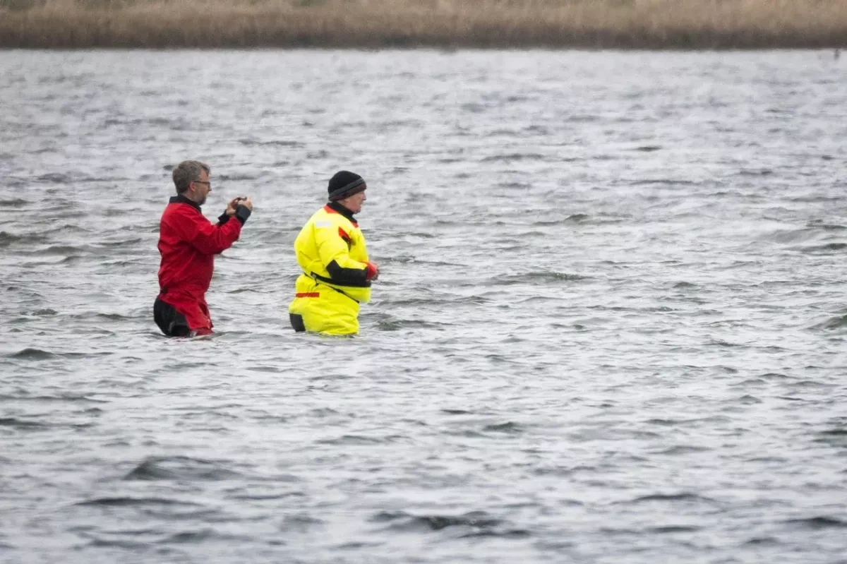 German minister wades into whale rescue as Timmy operation delayed PHOTO