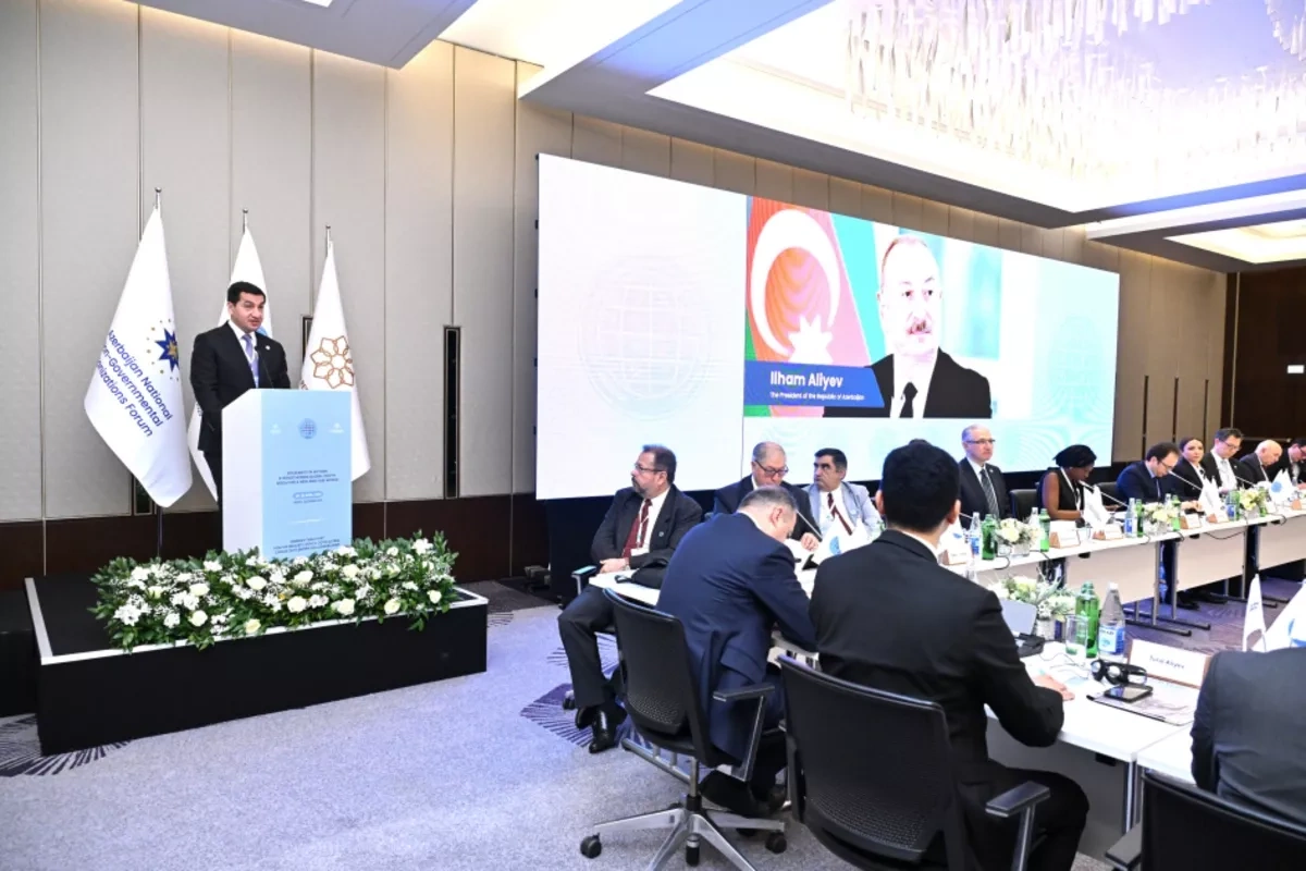 UN endorses Azerbaijan-led initiative linking NGOs across Global South PHOTO