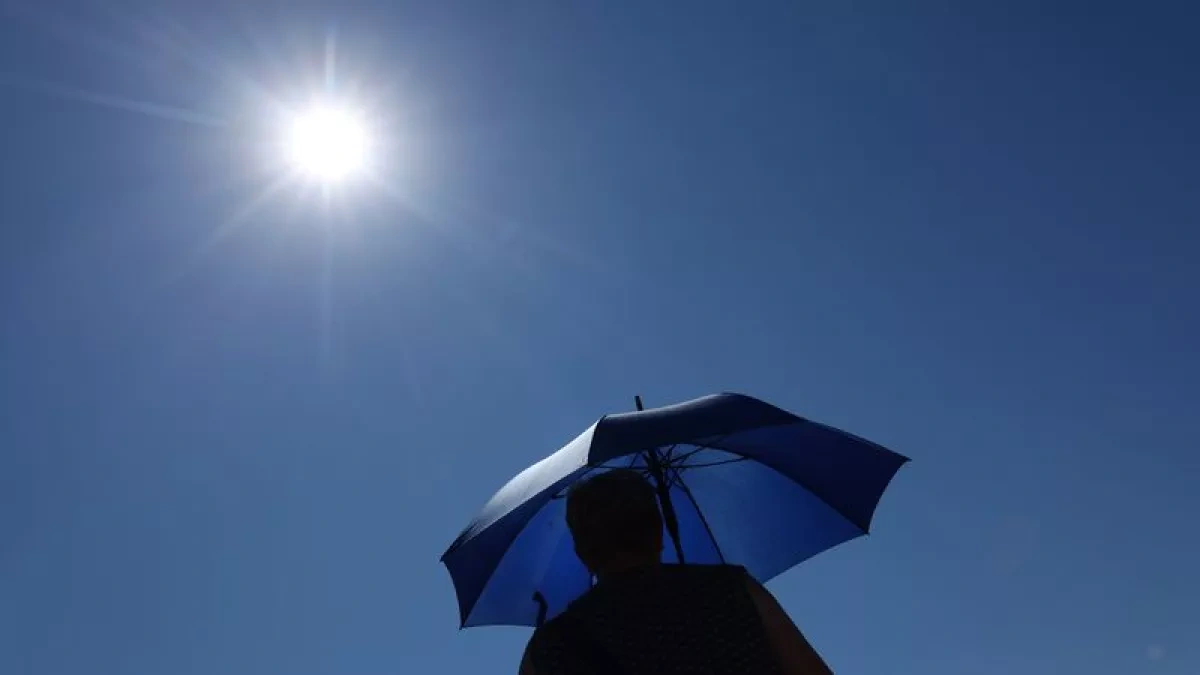 Heat-related deaths in Germany near 10,000 this year