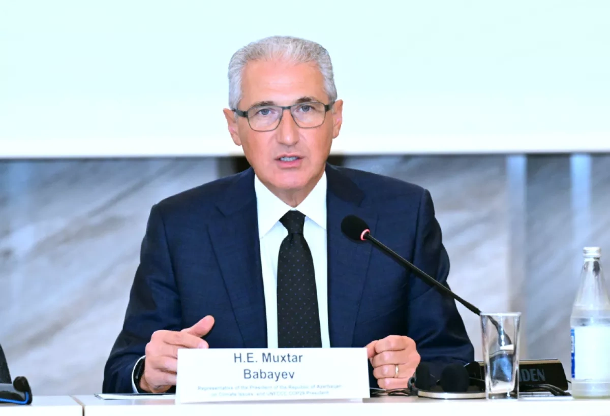 Azerbaijan’s climate envoy calls for more efficient use of water
