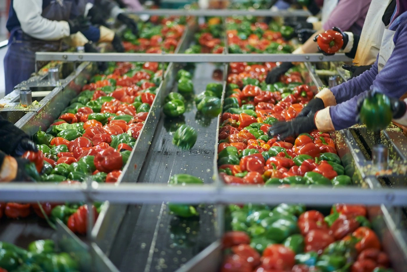 Iran proposes integrated food chain with Central Asian countries