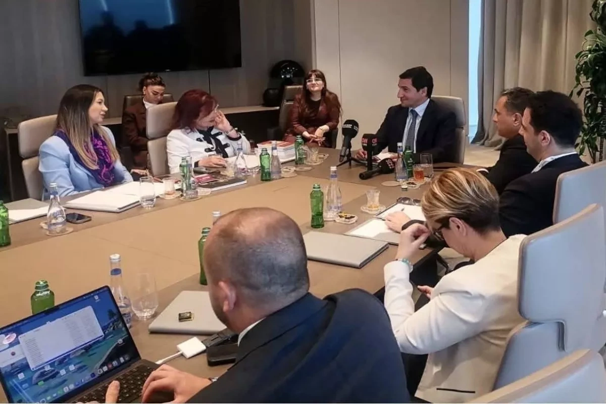 Azerbaijan presidential aide eyes ties in meeting with Turkish civil society delegation PHOTO