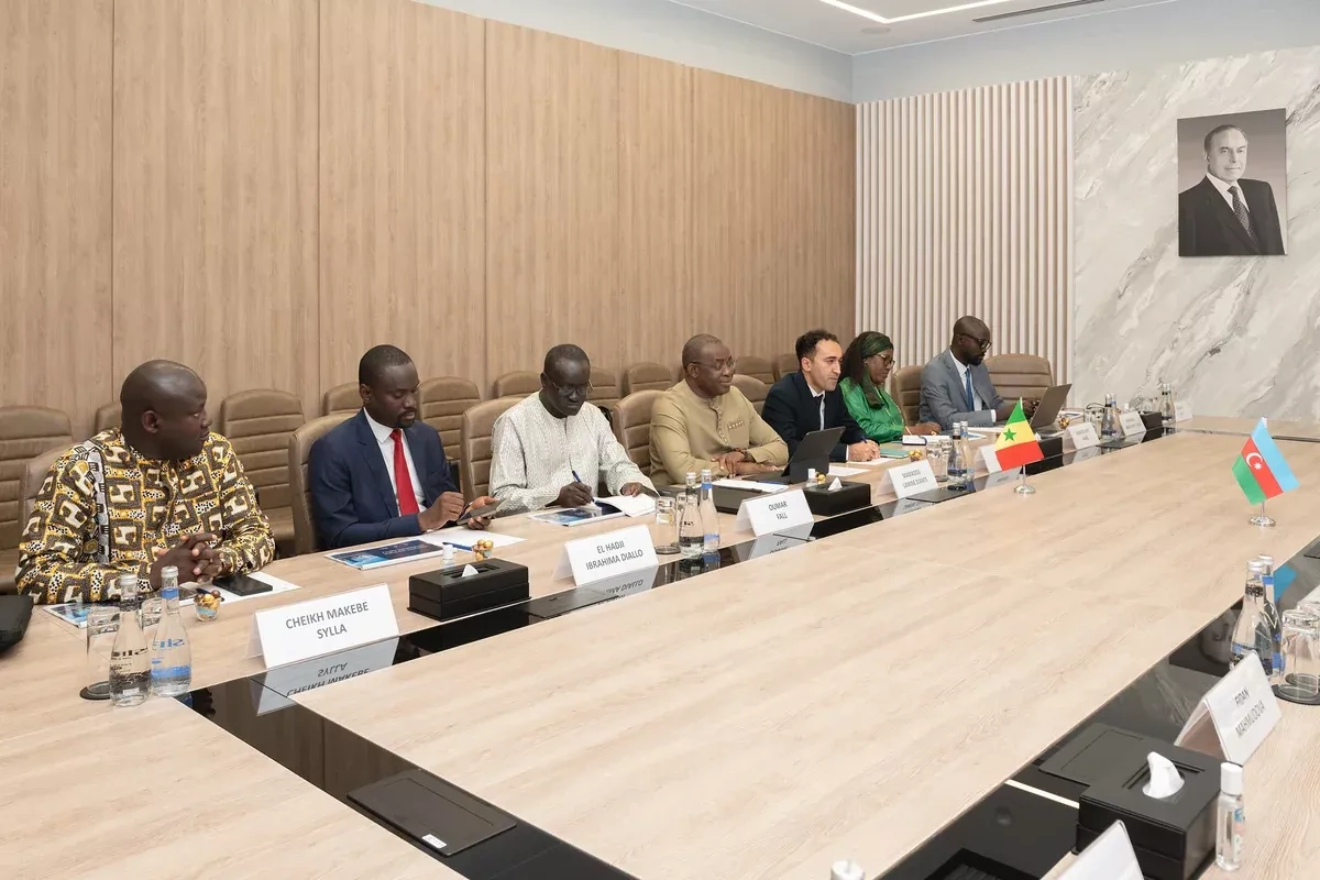 Azerbaijan, Senegal discuss cooperation in digital development, innovation PHOTO