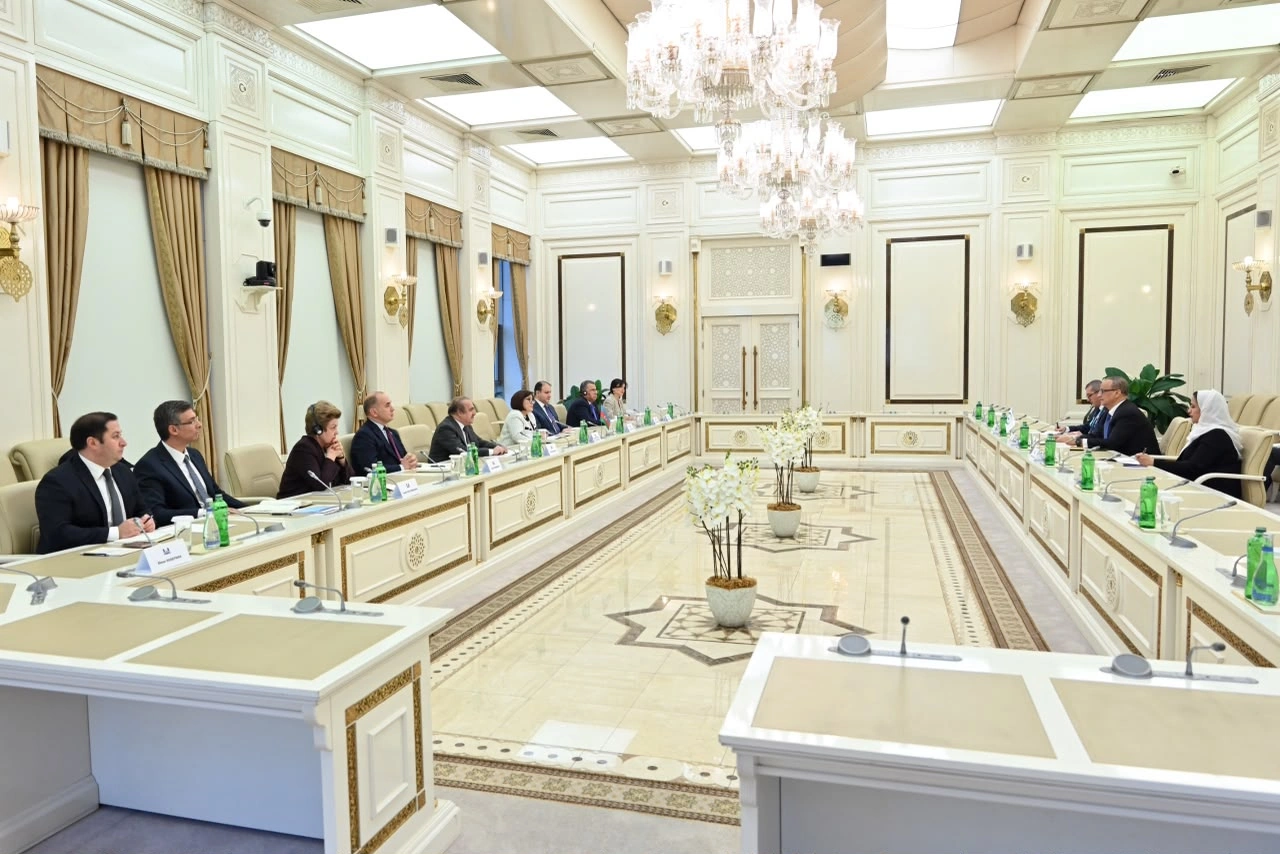 Azerbaijan, OIC discuss ways to expand cooperation (PHOTO)