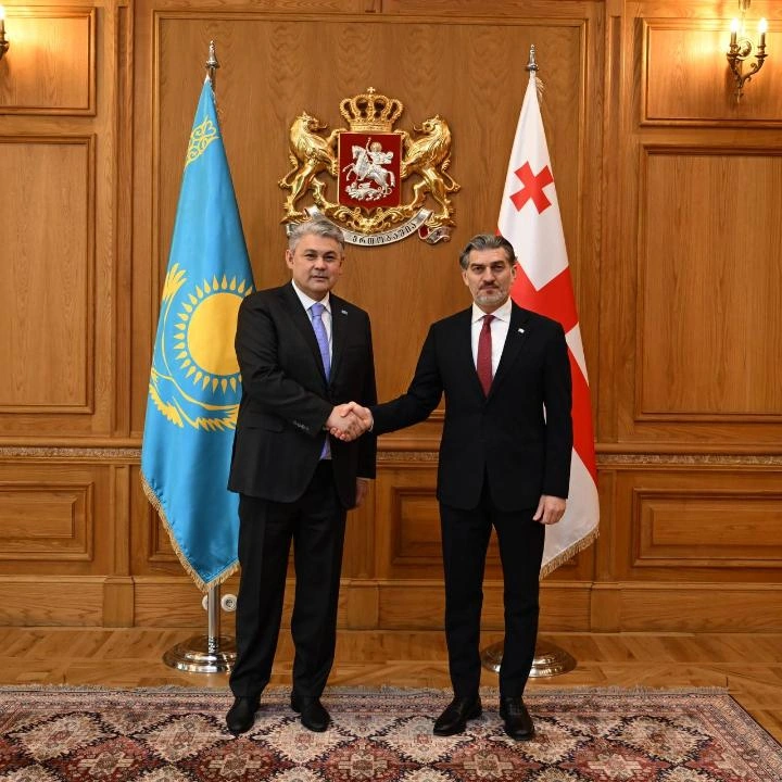 Kazakhstan, Georgia prioritize positive dynamics and co-op in high-level meeting