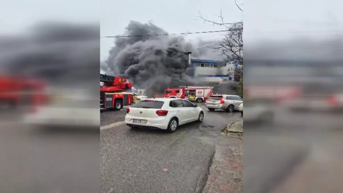 Türkiye: Fire breaks out at factory in Silivri