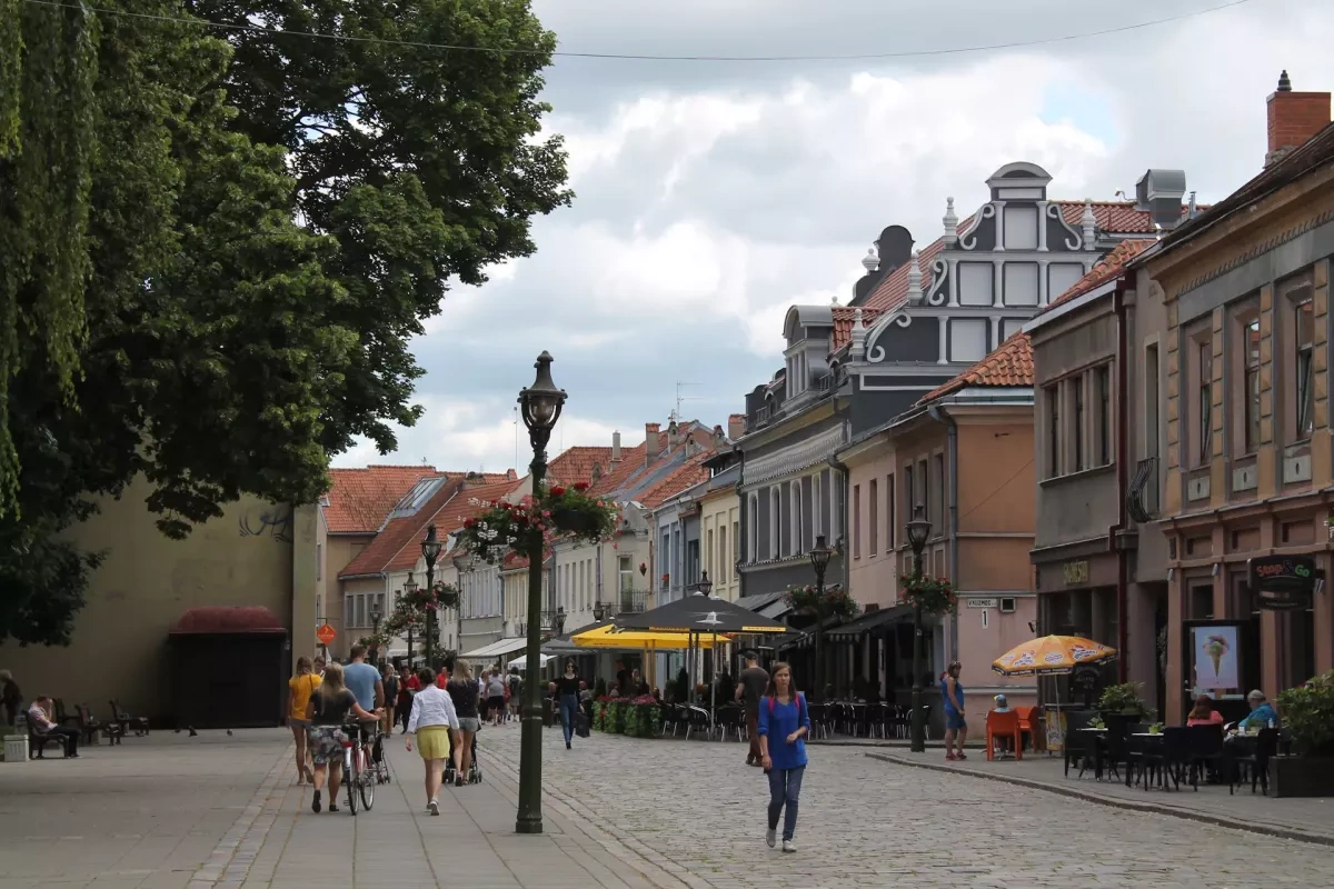 Poll shows rising public concern over Lithuania’s direction