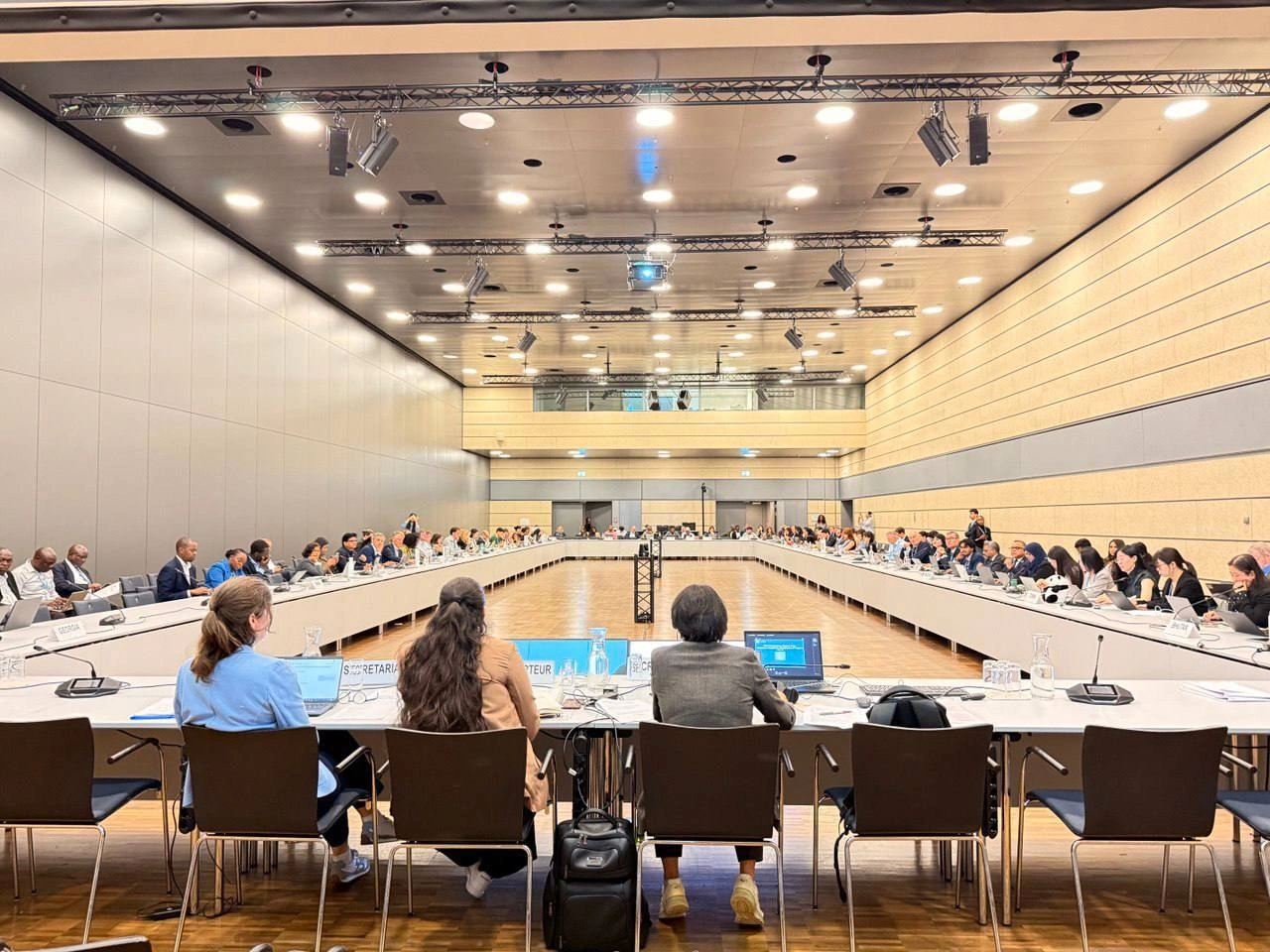 Uzbekistan highlights climate progress at U.N. session in Bonn